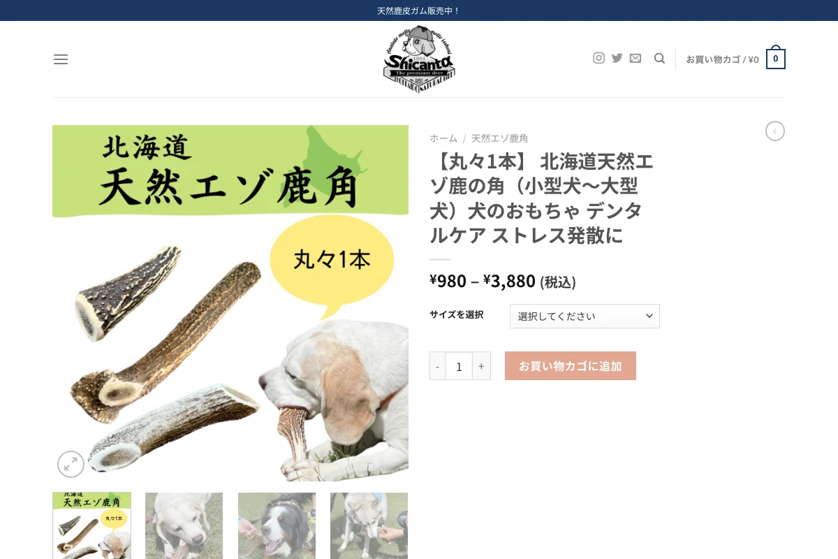 Shicanta 北海道産エゾ鹿の角